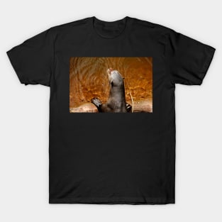 Giant Otter T-Shirt